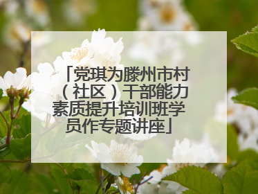 党琪为滕州市村（社区）干部能力素质提升培训班学员作专题讲座
