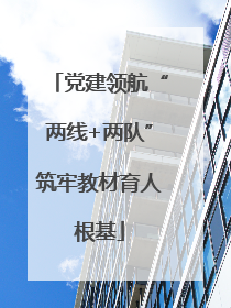 党建领航“两线+两队”筑牢教材育人根基
