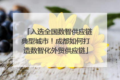 入选全国数智供应链典型城市！成都如何打造数智化外贸供应链