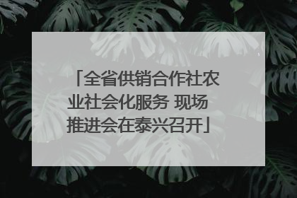 全省供销合作社农业社会化服务 现场推进会在泰兴召开