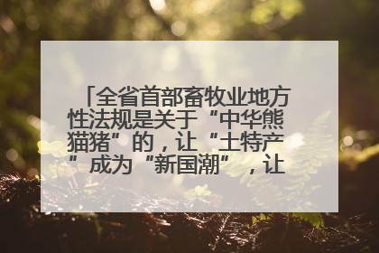 全省首部畜牧业地方性法规是关于“中华熊猫猪”的，让“土特产”成为“新国潮”，让“农产品”升格为“城市IP”