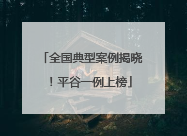 全国典型案例揭晓！平谷一例上榜