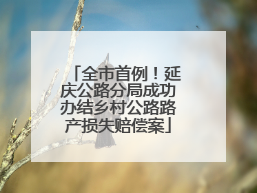 全市首例！延庆公路分局成功办结乡村公路路产损失赔偿案