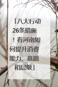 八大行动26条措施！看河南如何提升消费能力、意愿和层级