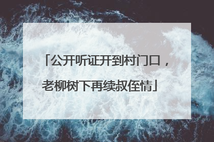 公开听证开到村门口，老柳树下再续叔侄情