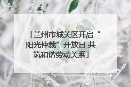 兰州市城关区开启“阳光仲裁”开放日 共筑和谐劳动关系