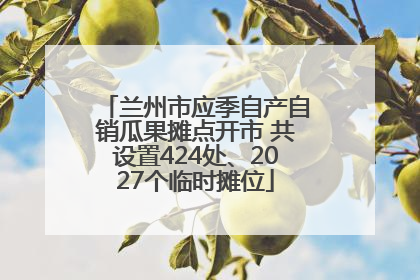 兰州市应季自产自销瓜果摊点开市 共设置424处、2027个临时摊位