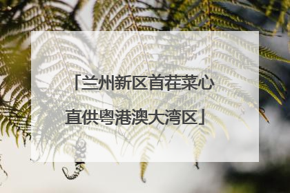 兰州新区首茬菜心直供粤港澳大湾区