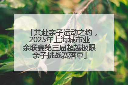 共赴亲子运动之约，2025年上海城市业余联赛第三届超越极限亲子挑战赛落幕