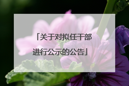 关于对拟任干部进行公示的公告