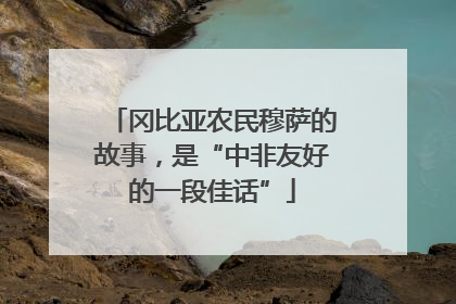 冈比亚农民穆萨的故事，是“中非友好的一段佳话”