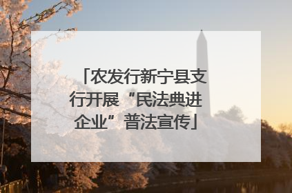 农发行新宁县支行开展“民法典进企业”普法宣传
