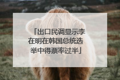 出口民调显示李在明在韩国总统选举中得票率过半