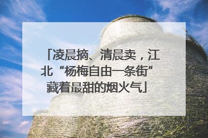 凌晨摘、清晨卖，江北“杨梅自由一条街”藏着最甜的烟火气