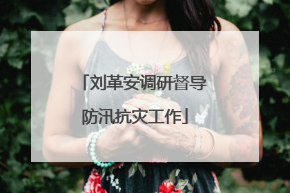 刘革安调研督导防汛抗灾工作