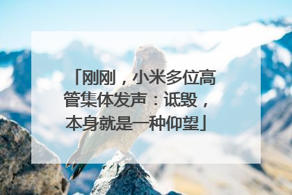 刚刚，小米多位高管集体发声：诋毁，本身就是一种仰望
