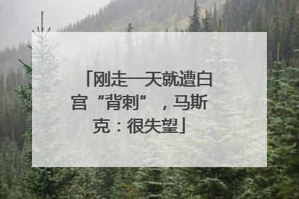 刚走一天就遭白宫“背刺”，马斯克：很失望