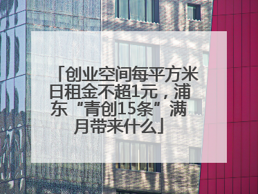 创业空间每平方米日租金不超1元，浦东“青创15条”满月带来什么