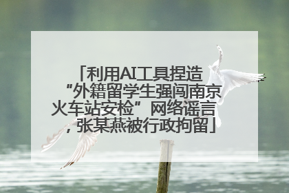 利用AI工具捏造 “外籍留学生强闯南京火车站安检”网络谣言，张某燕被行政拘留