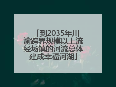 到2035年川渝跨界规模以上流经场镇的河流总体建成幸福河湖