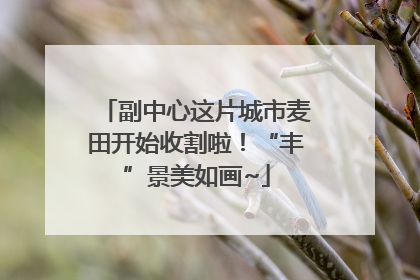 副中心这片城市麦田开始收割啦！“丰”景美如画~