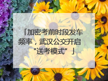 加密考前时段发车频率，武汉公交开启“送考模式”
