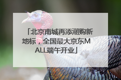 北京南城再添潮购新地标，全国最大京东MALL端午开业