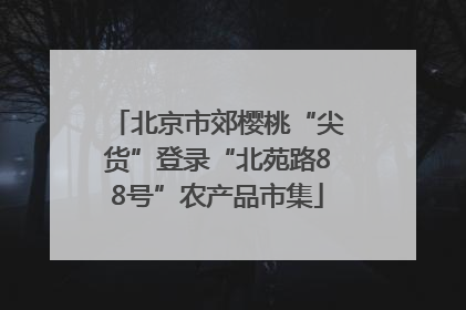 北京市郊樱桃“尖货”登录“北苑路88号”农产品市集