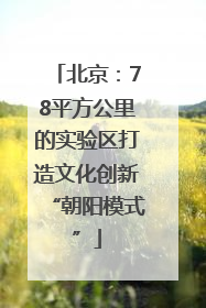 北京：78平方公里的实验区打造文化创新“朝阳模式”