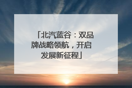 北汽蓝谷：双品牌战略领航，开启发展新征程
