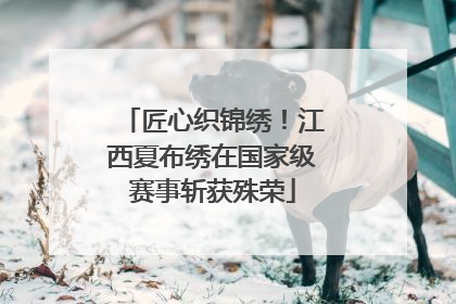 匠心织锦绣！江西夏布绣在国家级赛事斩获殊荣