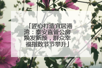 匠心打造宜居港湾：泰安直管公房焕发新颜，群众幸福指数节节攀升