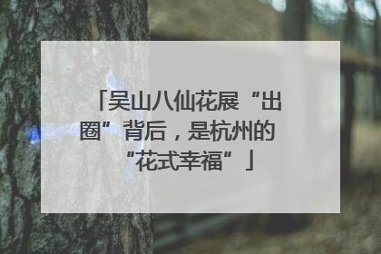 吴山八仙花展“出圈”背后，是杭州的“花式幸福”