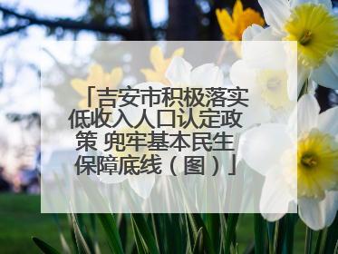 吉安市积极落实低收入人口认定政策 兜牢基本民生保障底线（图）