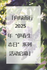 向绿而行 2025年“伊春生态日”系列活动启幕