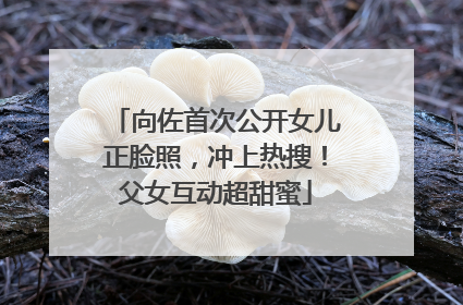 向佐首次公开女儿正脸照，冲上热搜！父女互动超甜蜜