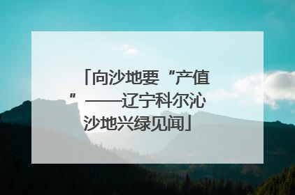 向沙地要“产值”——辽宁科尔沁沙地兴绿见闻