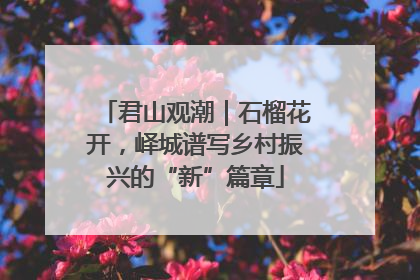 君山观潮｜石榴花开，峄城谱写乡村振兴的“新”篇章