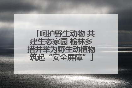 呵护野生动物 共建生态家园 榆林多措并举为野生动植物筑起“安全屏障”