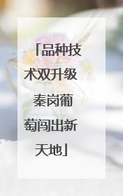 品种技术双升级 秦岗葡萄闯出新天地