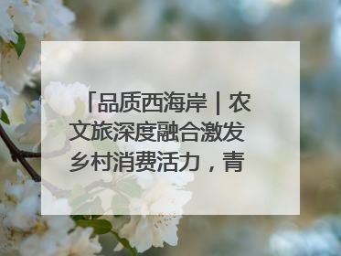 品质西海岸｜农文旅深度融合激发乡村消费活力，青岛西海岸新区的乡村振兴实践