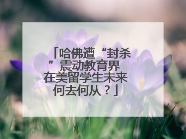 哈佛遭“封杀”震动教育界 在美留学生未来何去何从？