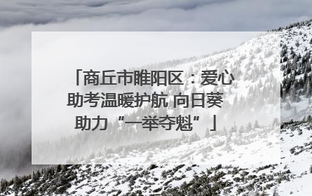 商丘市睢阳区：爱心助考温暖护航 向日葵助力“一举夺魁”
