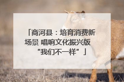 商河县：培育消费新场景 唱响文化振兴版“我们不一样”
