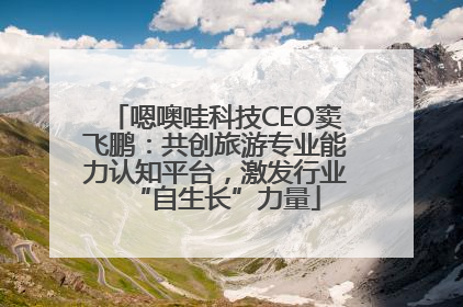 嗯噢哇科技CEO窦飞鹏：共创旅游专业能力认知平台，激发行业“自生长”力量