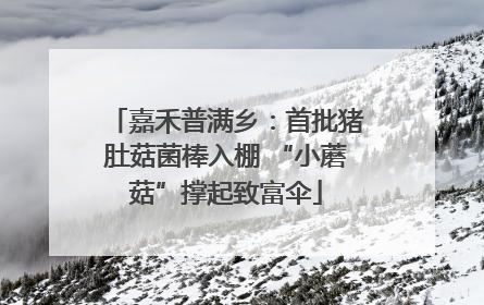 嘉禾普满乡：首批猪肚菇菌棒入棚 “小蘑菇”撑起致富伞