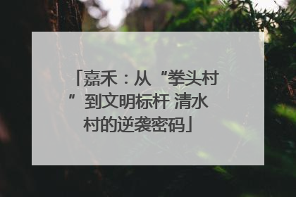 嘉禾：从“拳头村”到文明标杆 清水村的逆袭密码