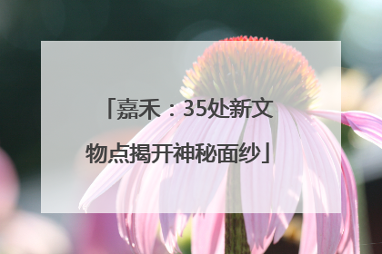 嘉禾：35处新文物点揭开神秘面纱