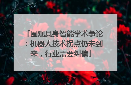 围观具身智能学术争论：机器人技术拐点仍未到来，行业需要纠偏