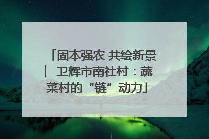 固本强农 共绘新景 ︳卫辉市南社村：蔬菜村的“链”动力